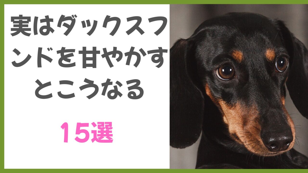 犬の雑学