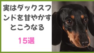犬の雑学